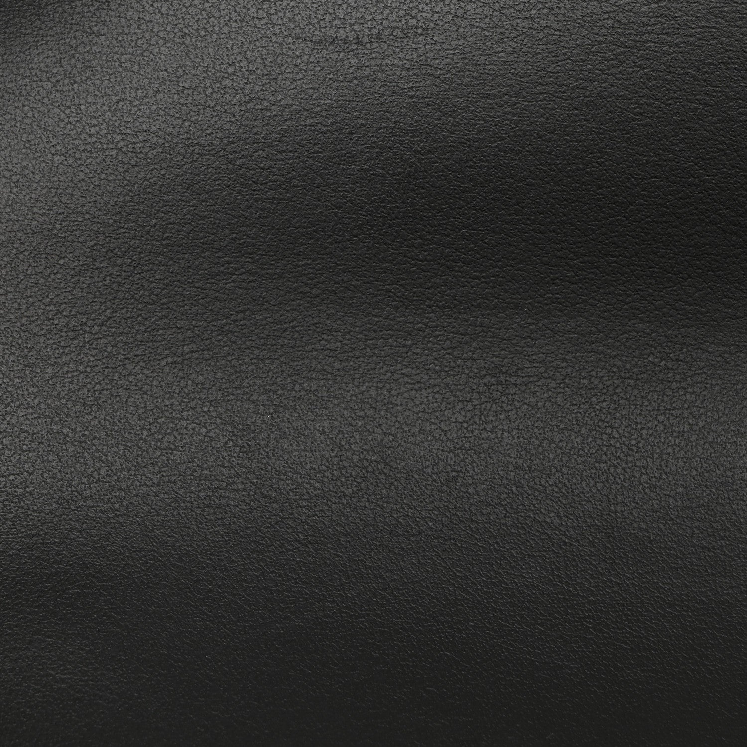 Louis Vuitton Epi Hide and Seek Black 11 of 13