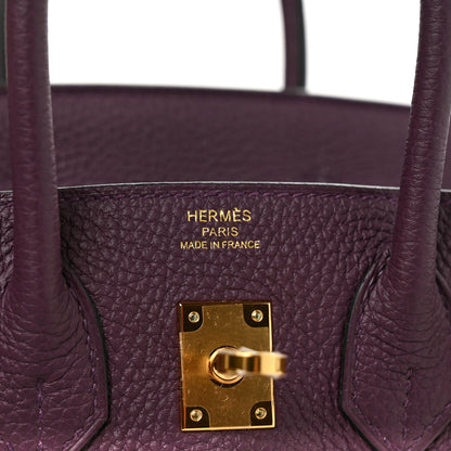 Hermes Togo Birkin 25 Cassis 6 of 8