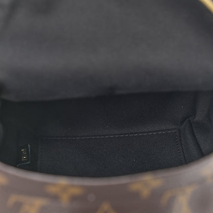 Louis Vuitton Monogram Palm Springs Backpack Mini 5 of 12