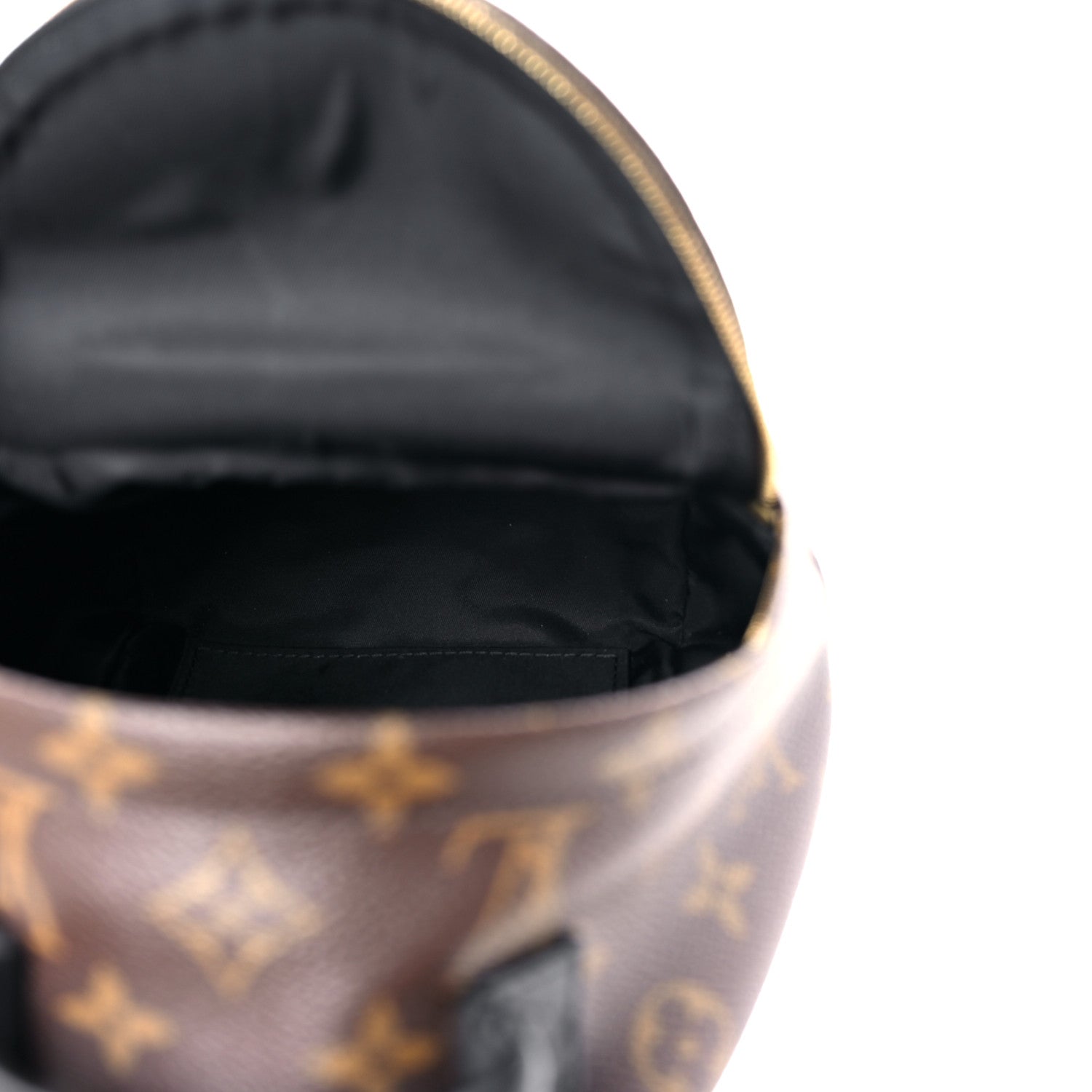 Louis Vuitton Monogram Palm Springs Backpack Mini 5 of 11