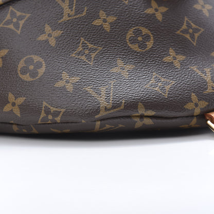Louis Vuitton Monogram Bumbag 10 of 12