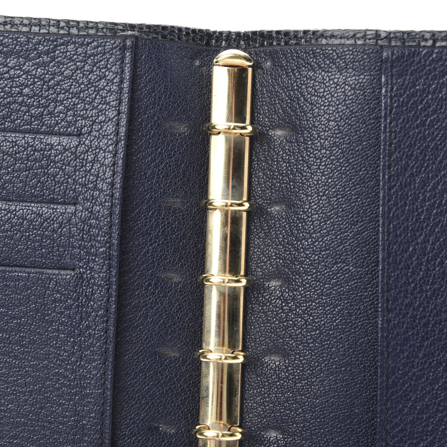 Lizard Small Ring Agenda Cover
