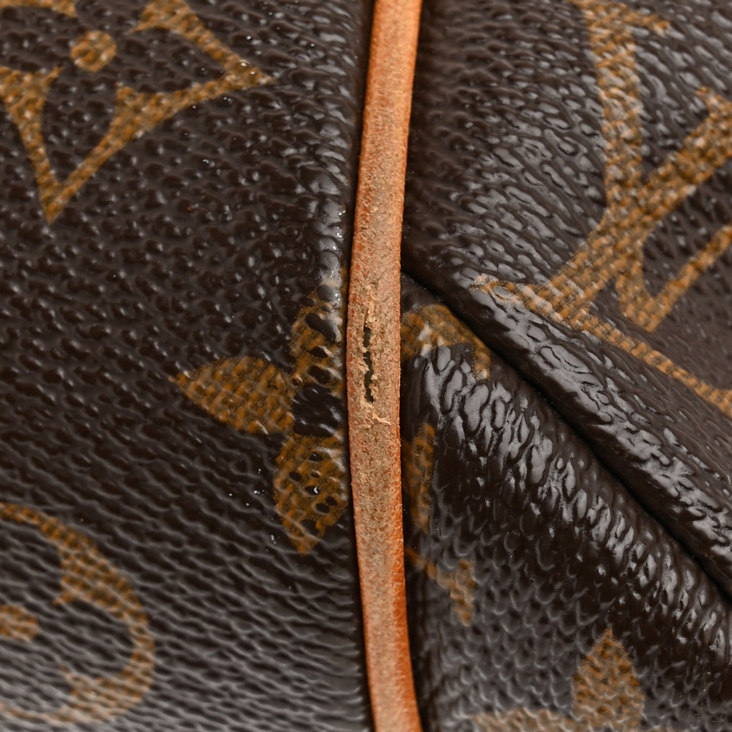 Monogram Totally PM