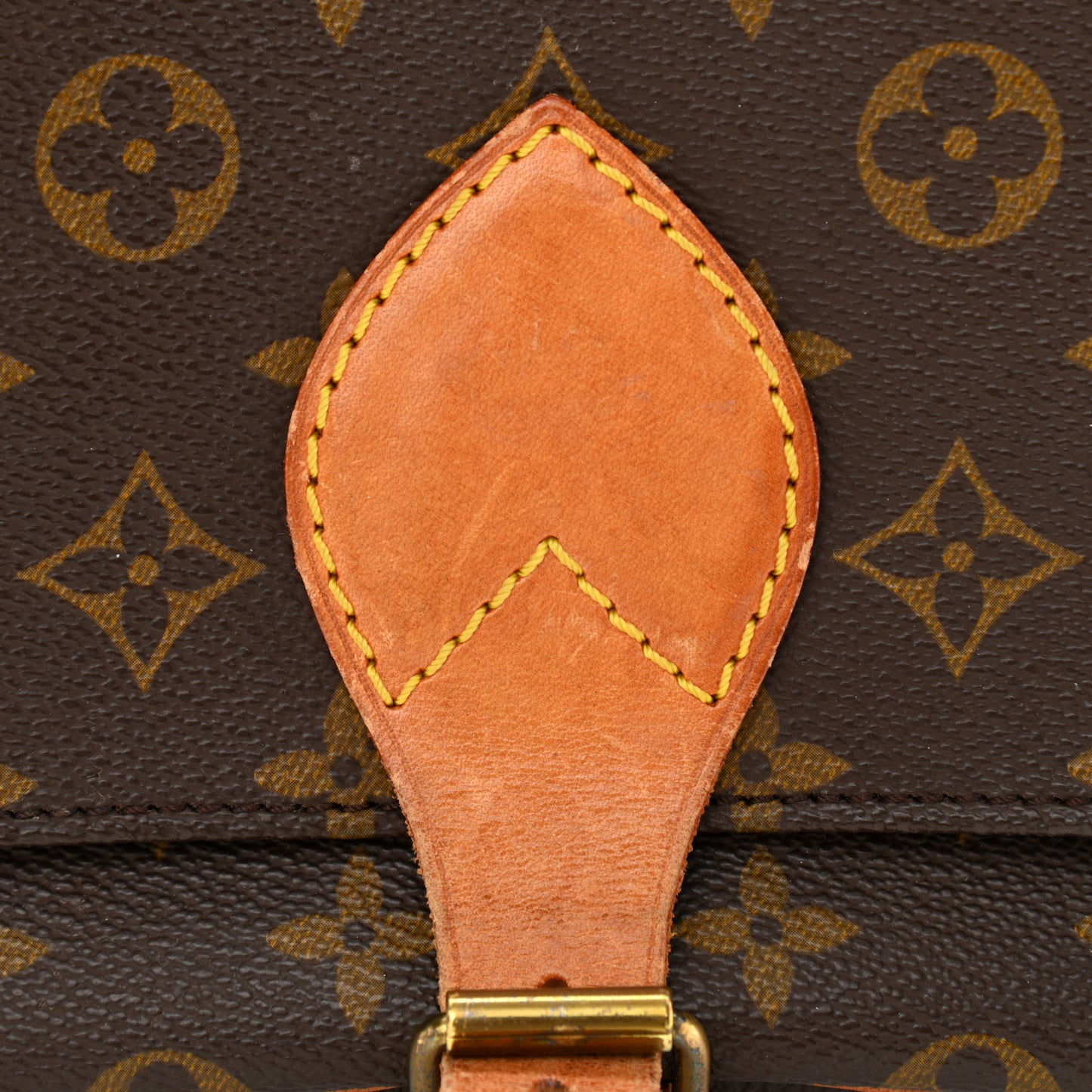 Monogram Cartouchiere 22