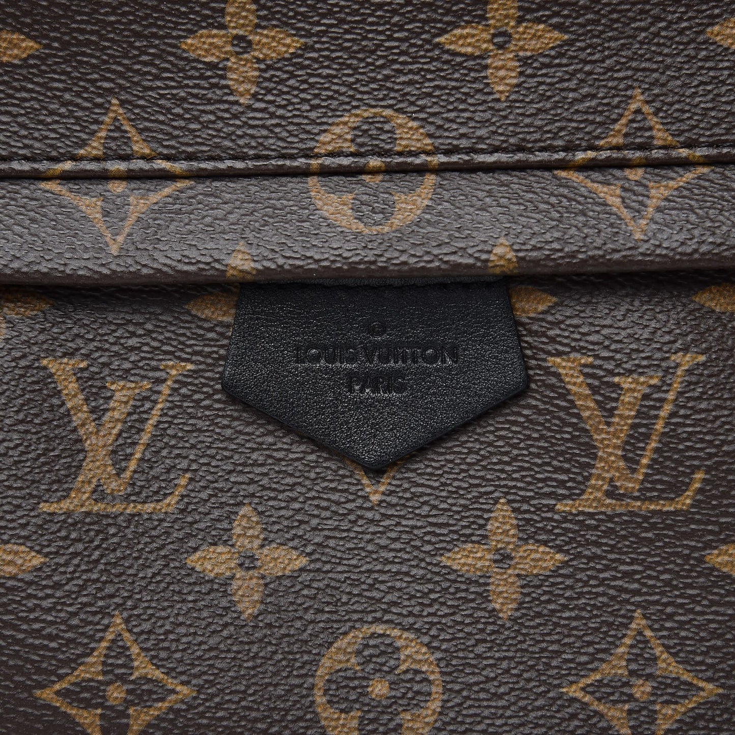 Monogram Palm Springs Backpack MM