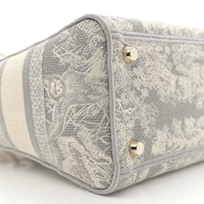 Christian Dior Canvas Toile De Jouy Reverse Embroidered Medium Lady D-Lite Gray 9 of 11