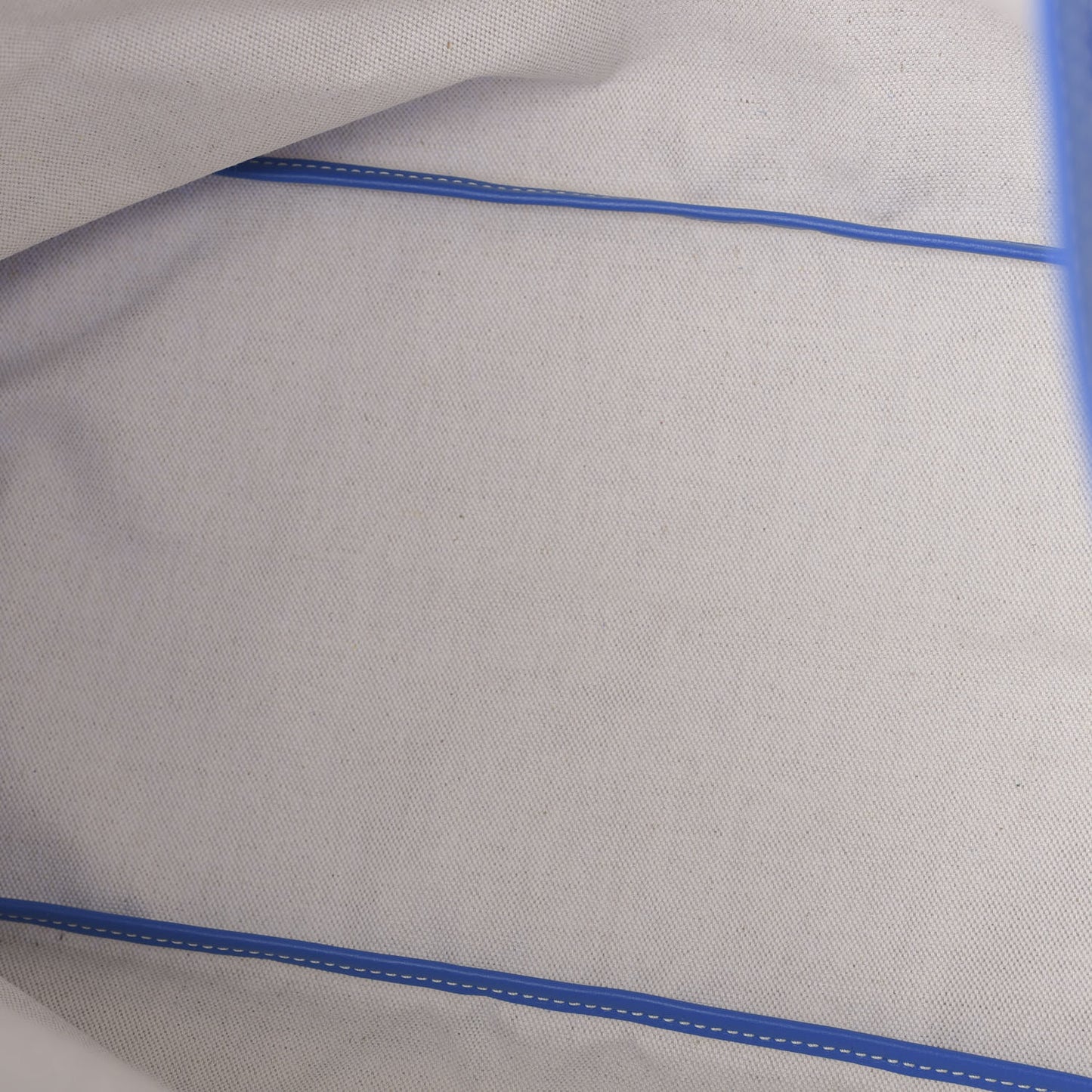 Goyardine Saint Louis GM Sky Blue