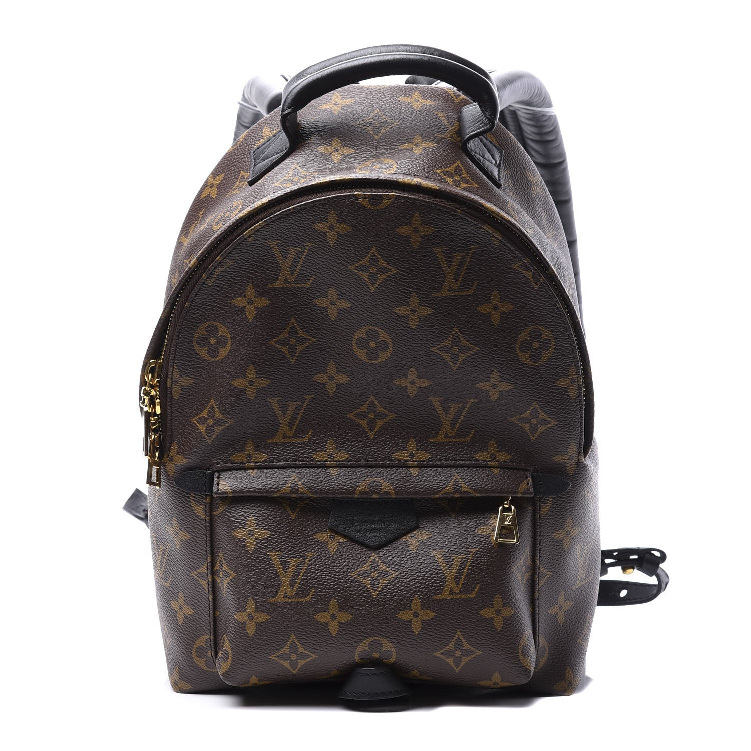 Louis Vuitton Monogram Palm Springs Backpack PM 1 of 11