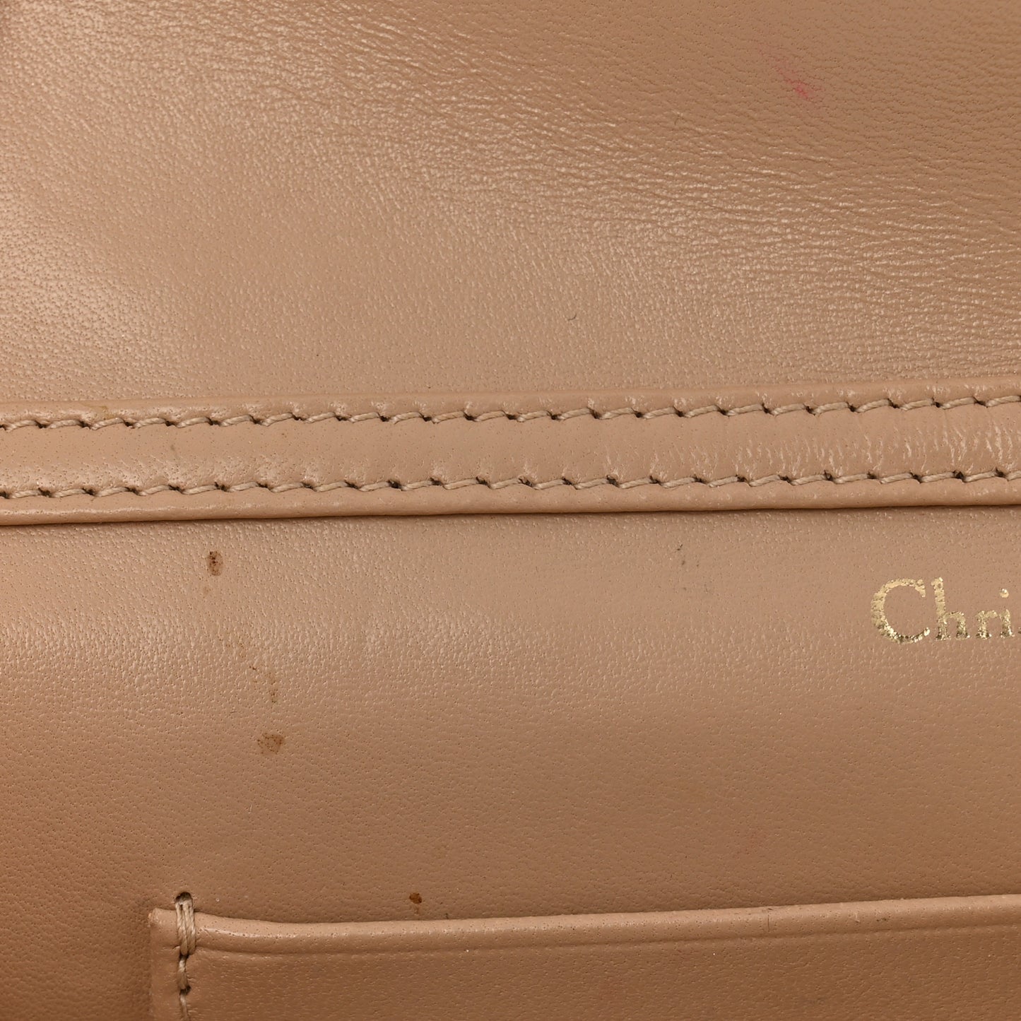 Grained Calfskin Diorama Wallet on Chain Pouch Nude