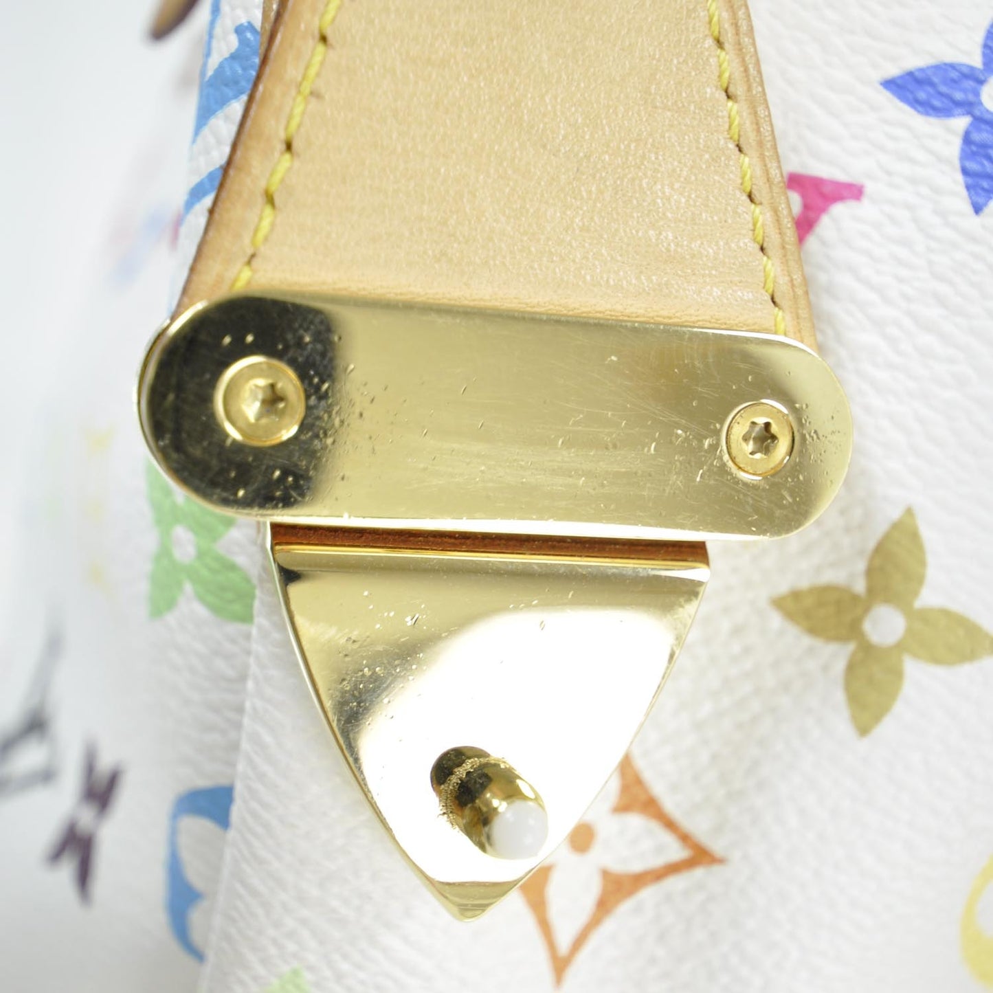 Monogram Multicolor Speedy 30 White