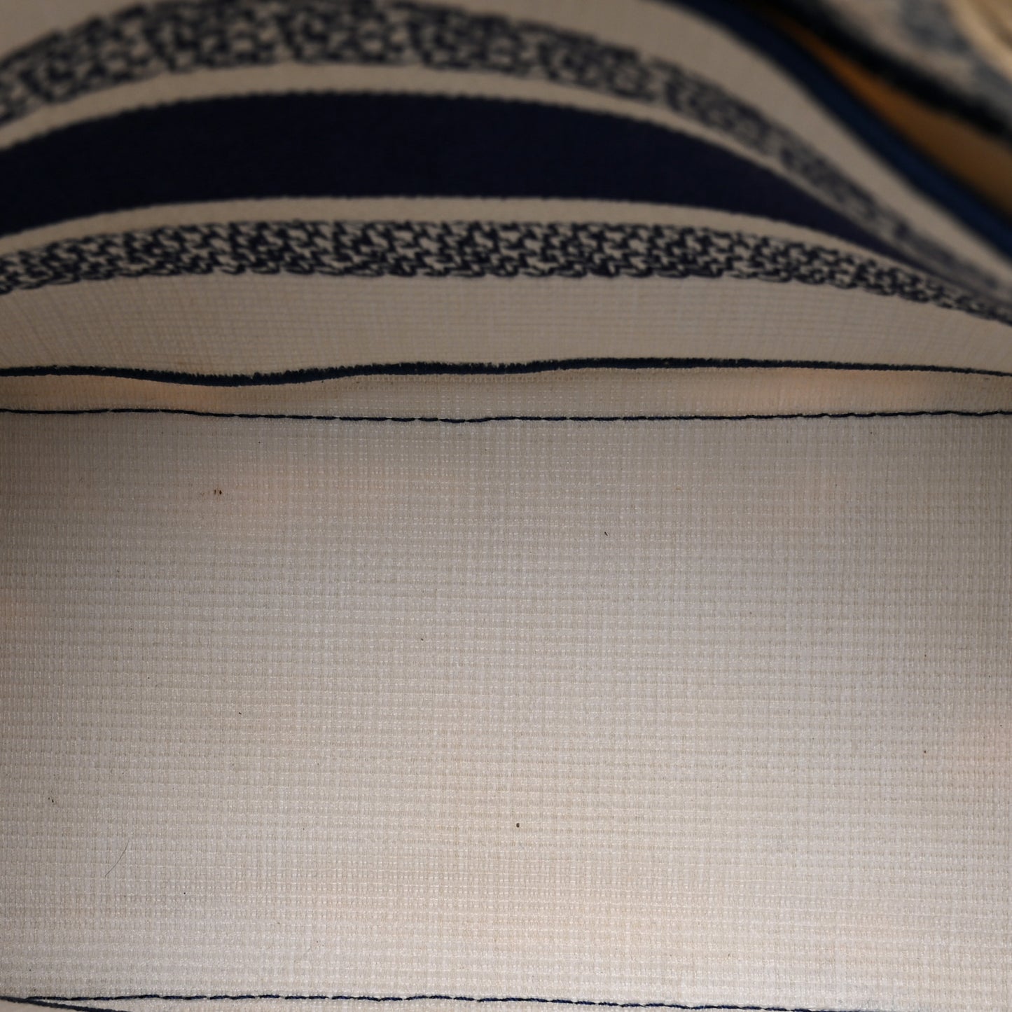 Canvas Embroidered Toile De Jouy Soleil Medium Lady D-Lite Blue