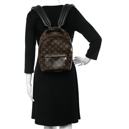 Louis Vuitton Monogram Palm Springs Backpack PM 2 of 9