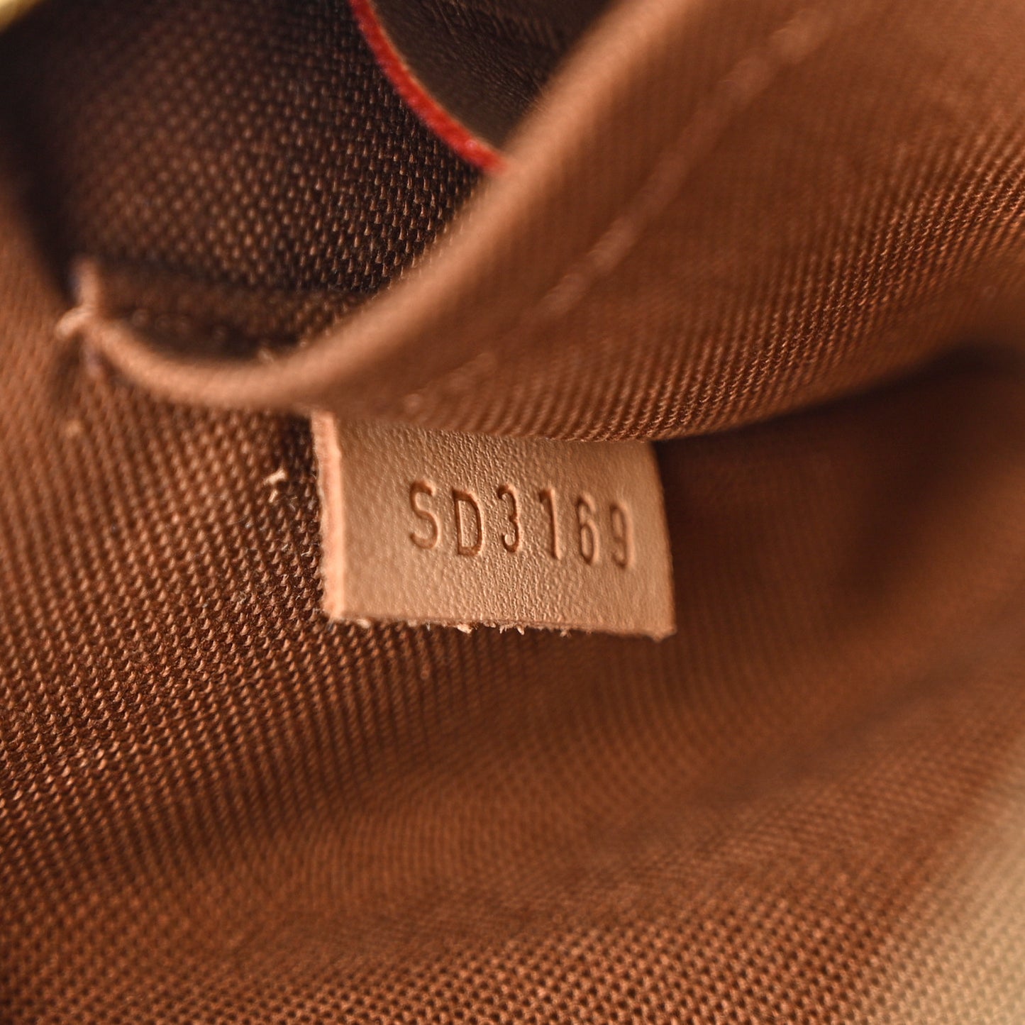 Monogram Multi Pochette Accessories Large Pochette