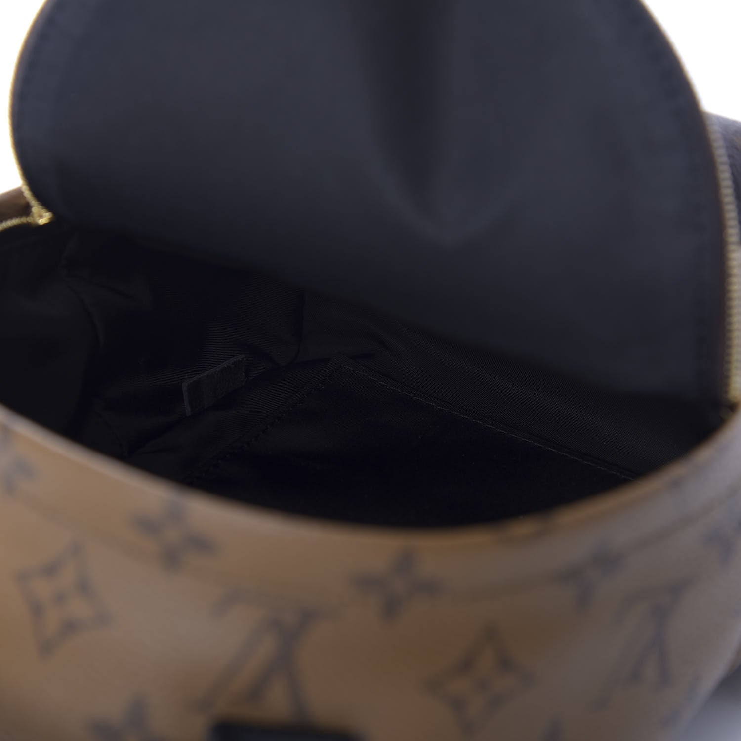Louis Vuitton Reverse Monogram Palm Springs Backpack Mini 4 of 11