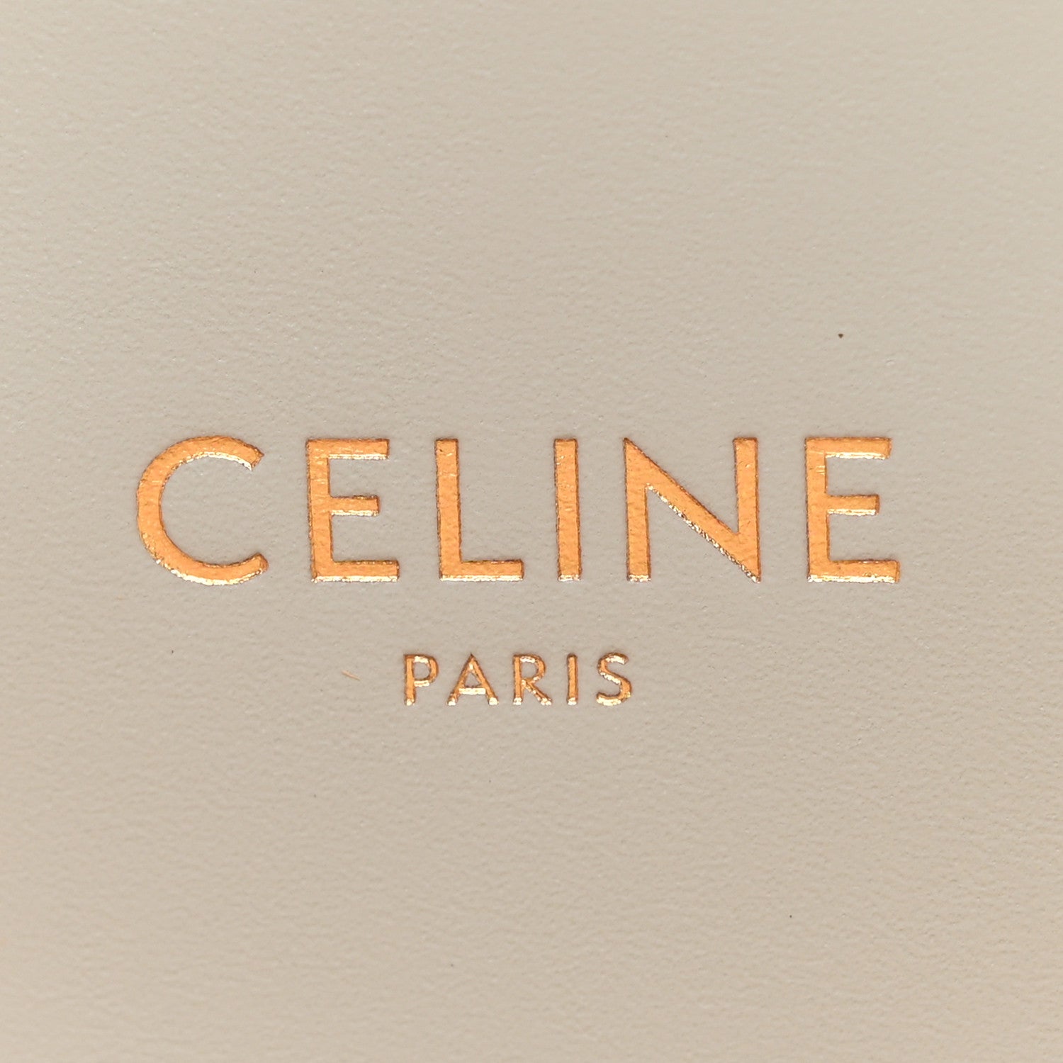 Celine Raffia Calfskin Triomphe Medium Panier Soft Blue 6 of 9