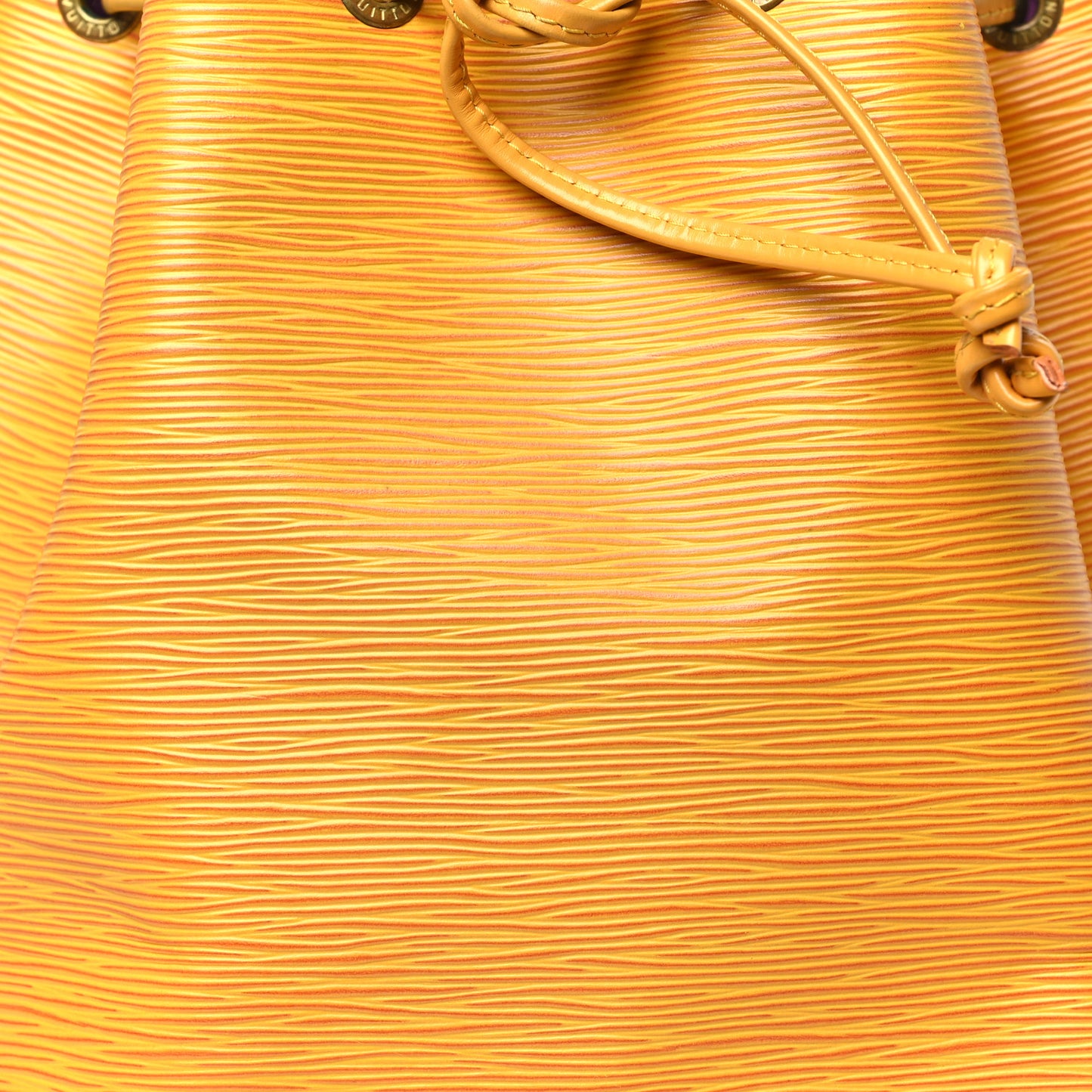 LOUIS VUITTON Epi Petit Noe Tassil