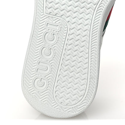 Gucci Calfskin Web Perforated Womens Platform 55mm Sneakers 36 White Bright Splash 8 of 10