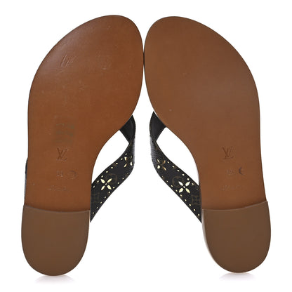 Louis Vuitton Monogram Sunny Flat Thong Sandals 39 Brown 7 of 12