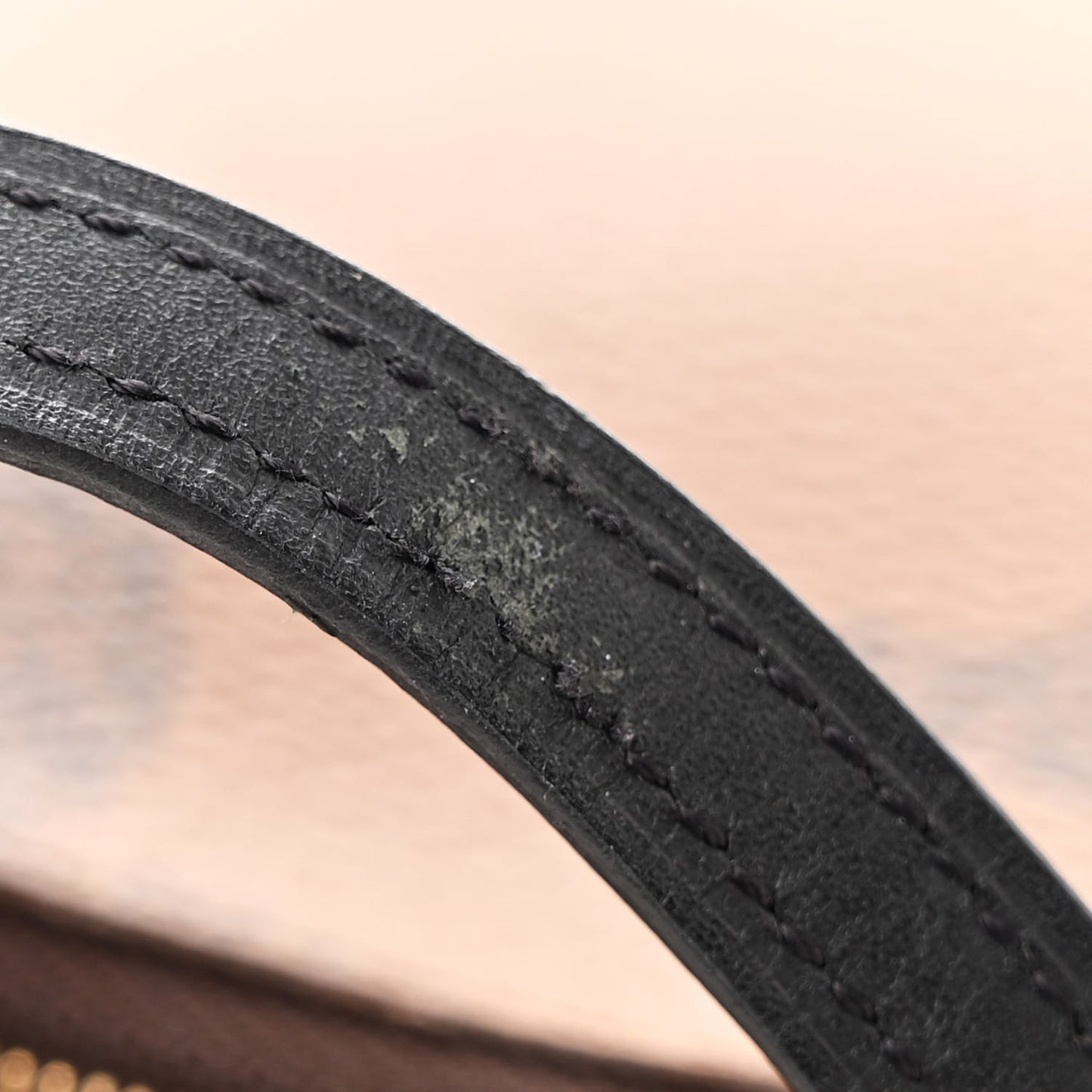 Reverse Monogram Giant Double Zip Pochette