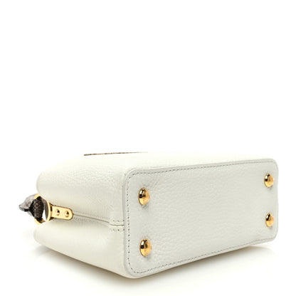Louis Vuitton Taurillon Ayers Capucines Mini White Snow White 4 of 9