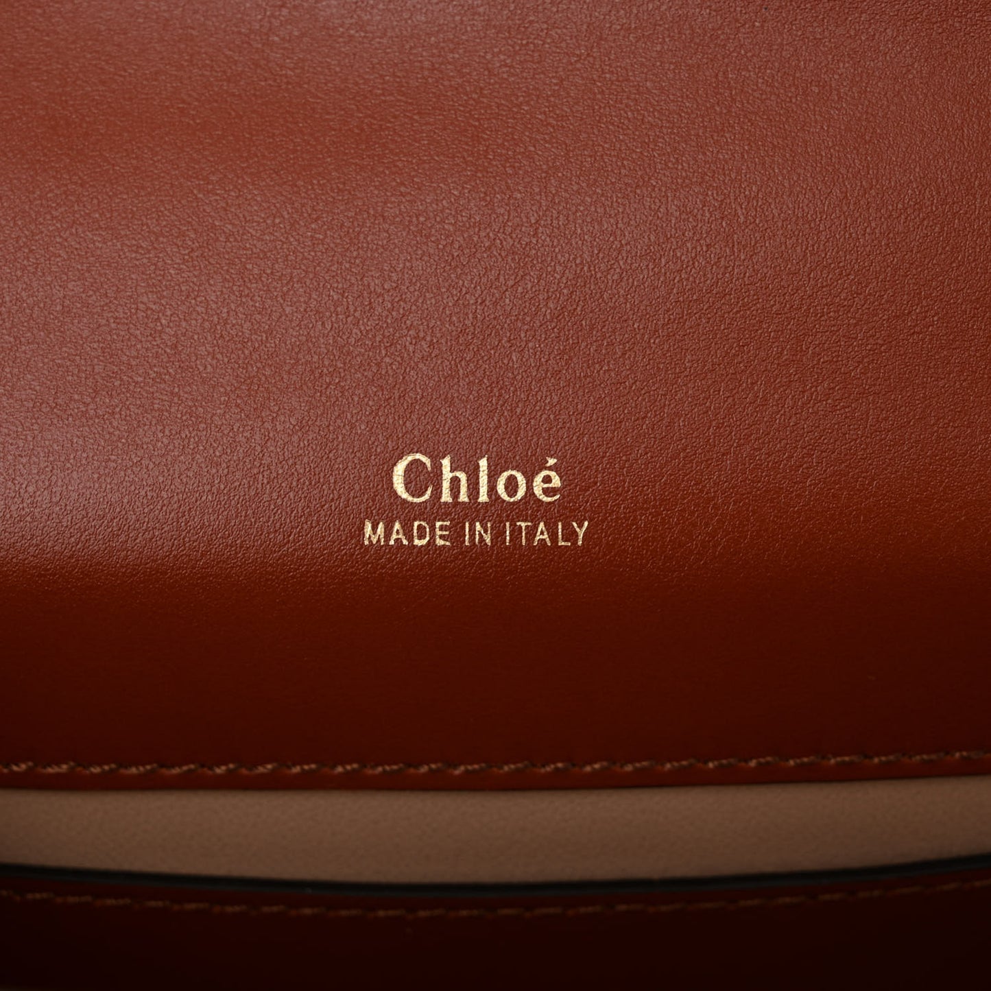 Shiny Goatskin Calfskin Mini Aby Chain Shoulder Bag Sepia Brown