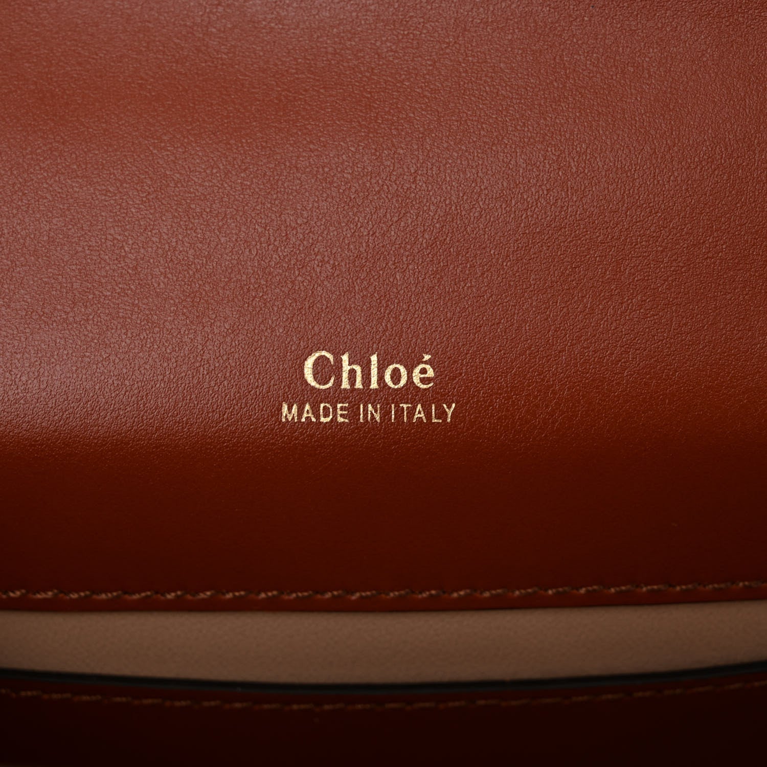 Chloe Shiny Goatskin Calfskin Mini Aby Chain Shoulder Bag Sepia Brown 6 of 12