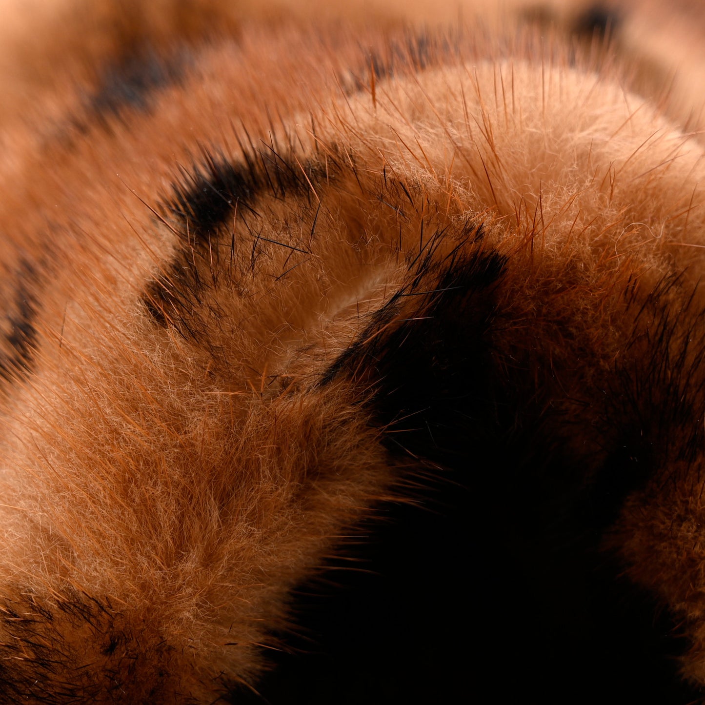 Mink Fur Bom Dia Slippers 38 Cognac