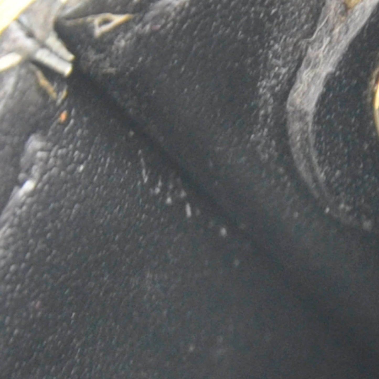 Suhali Key Pouch Black