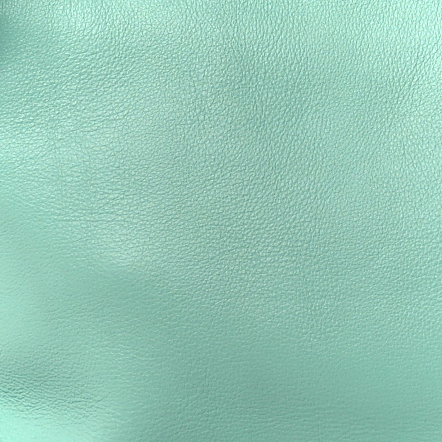 Loewe Calfskin Small Flamenco Knot Bag Fresh Mint 8 of 11