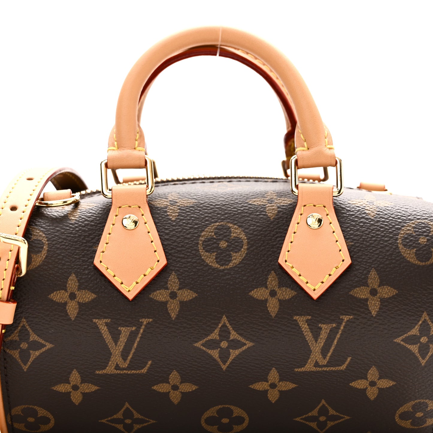 Monogram Nano Speedy Dating