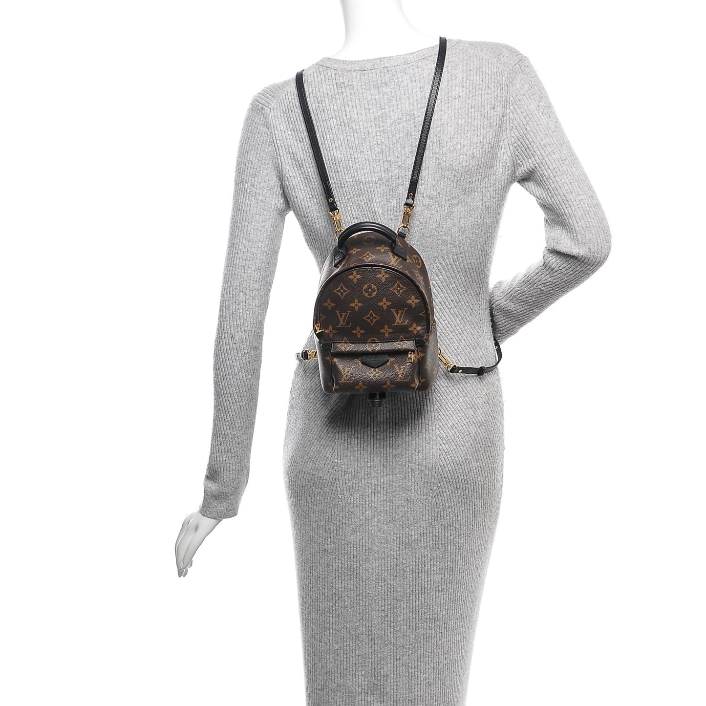 Monogram Palm Springs Backpack Mini