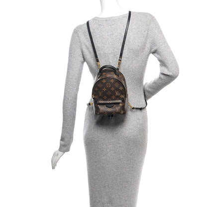 Louis Vuitton Monogram Palm Springs Backpack Mini 2 of 6