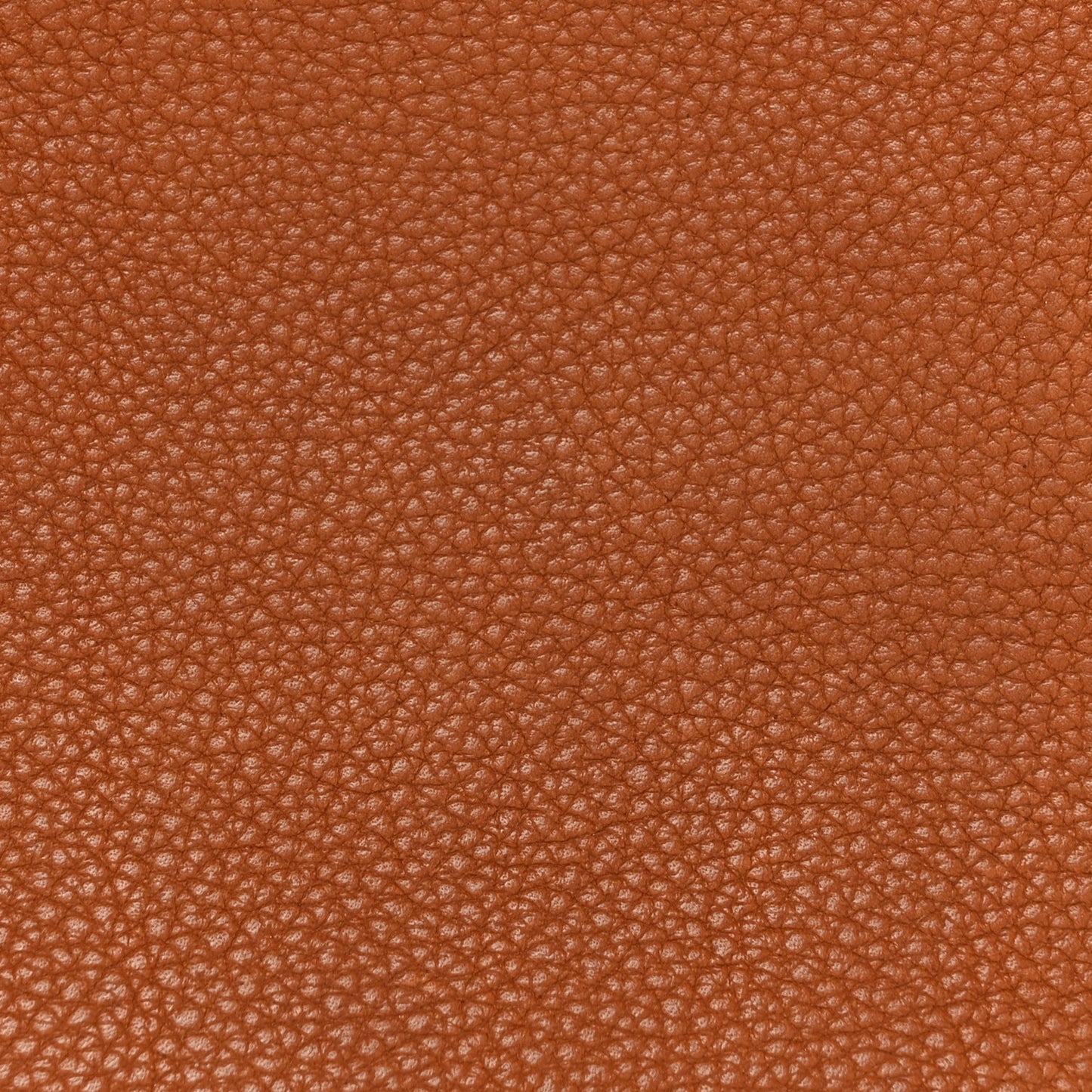 Natural Barenia Faubourg Birkin 25 Fauve
