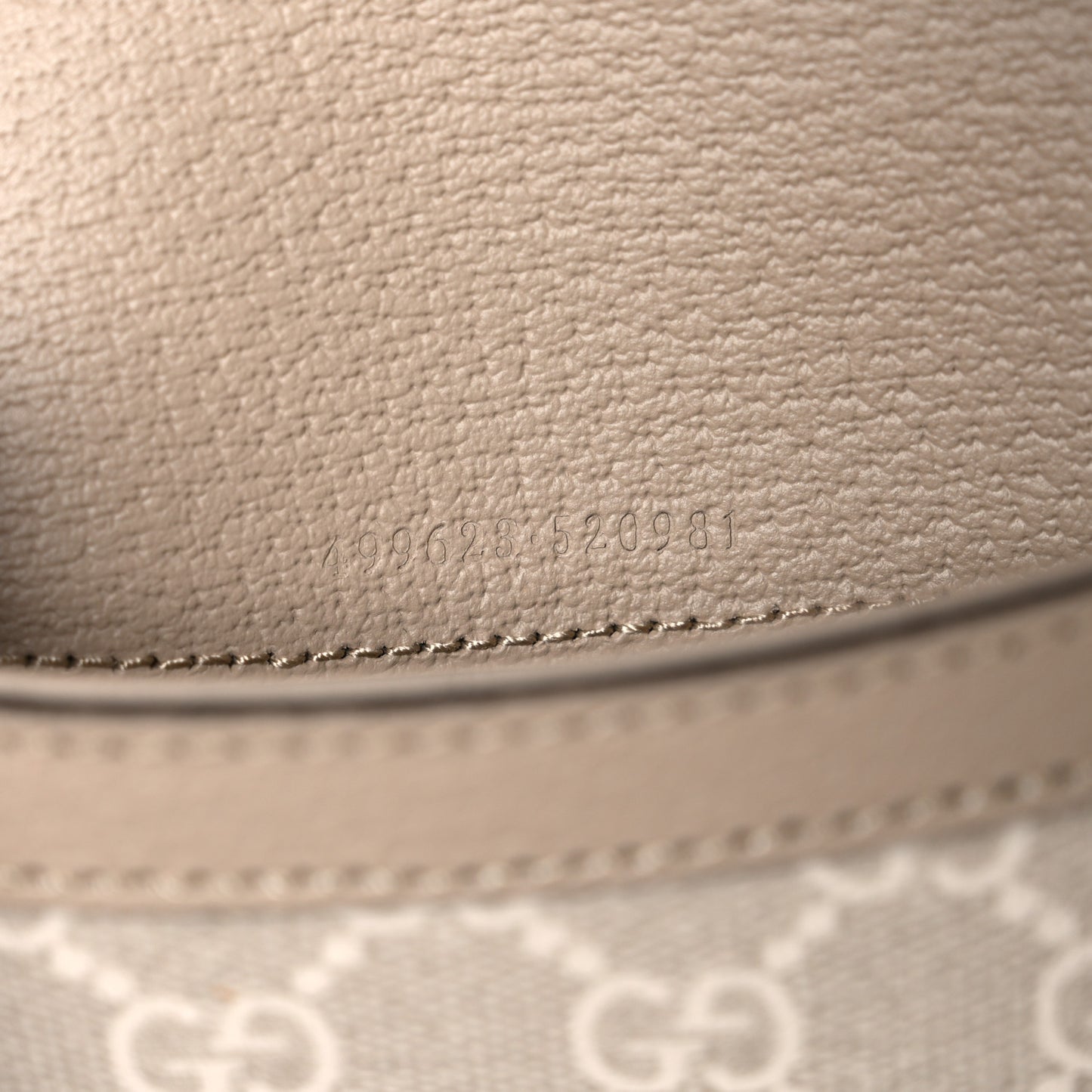 GG Supreme Monogram Textured Dollar Calfskin Small Rectangular Dionysus Shoulder Bag Beige Mystic White Oatmeal