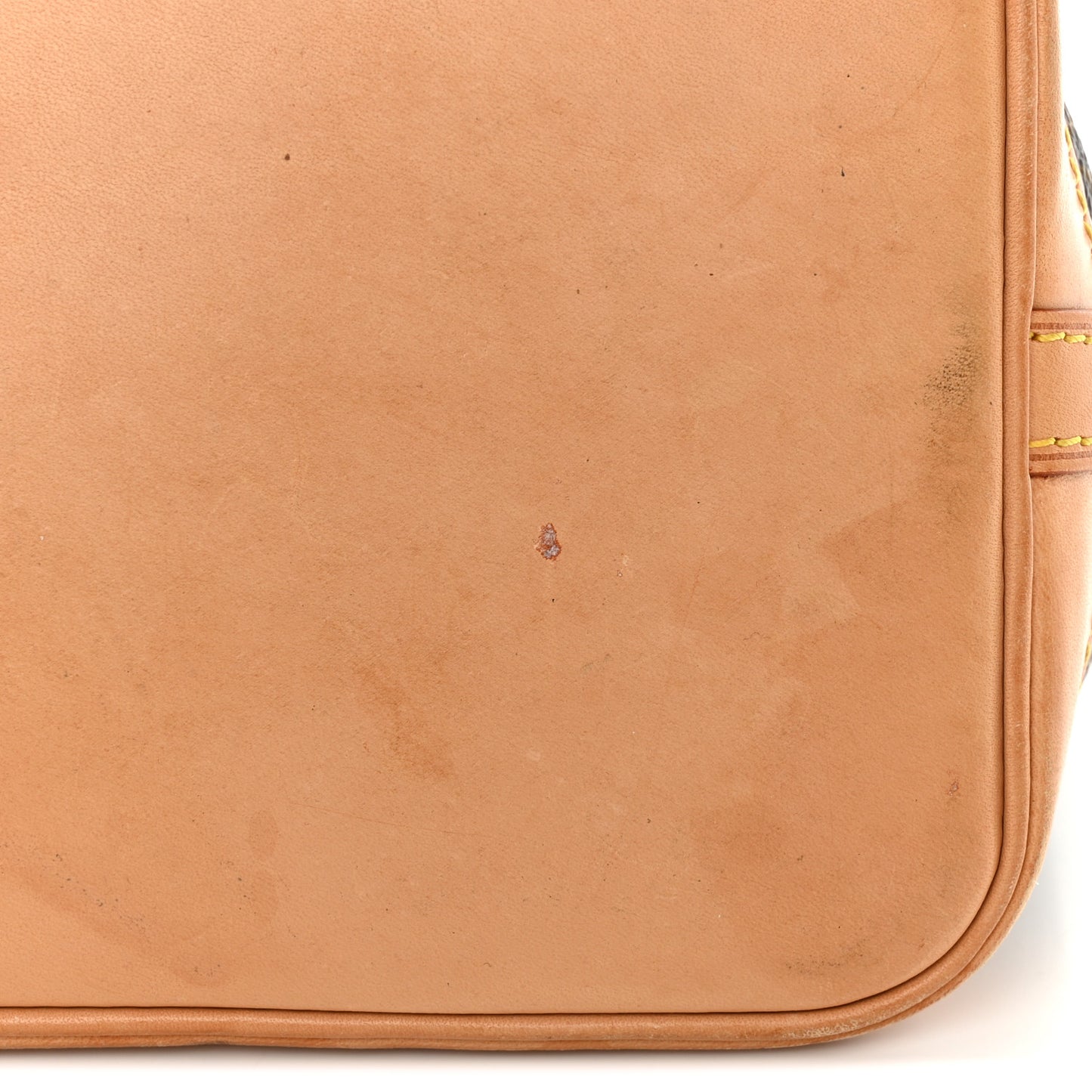 Monogram Mini Noe