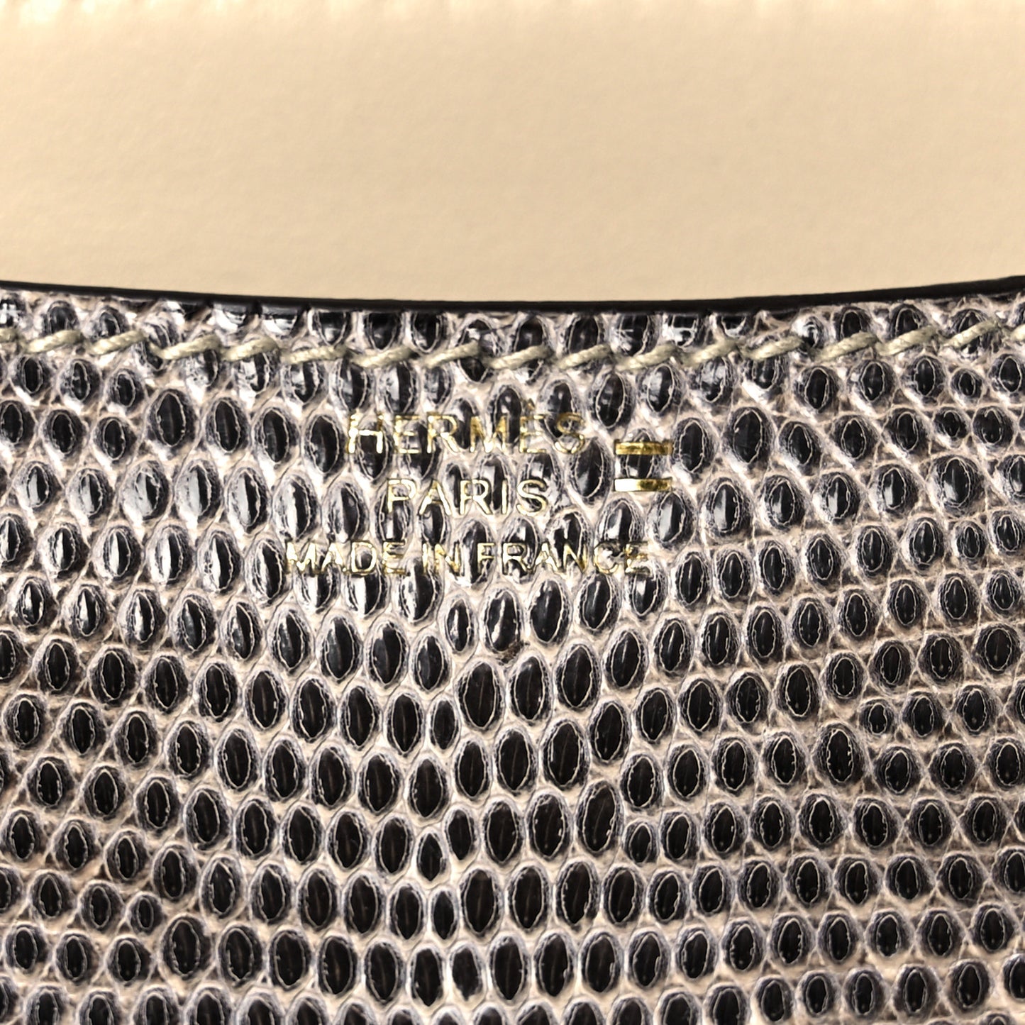 Lizard Constance 18 Ombre