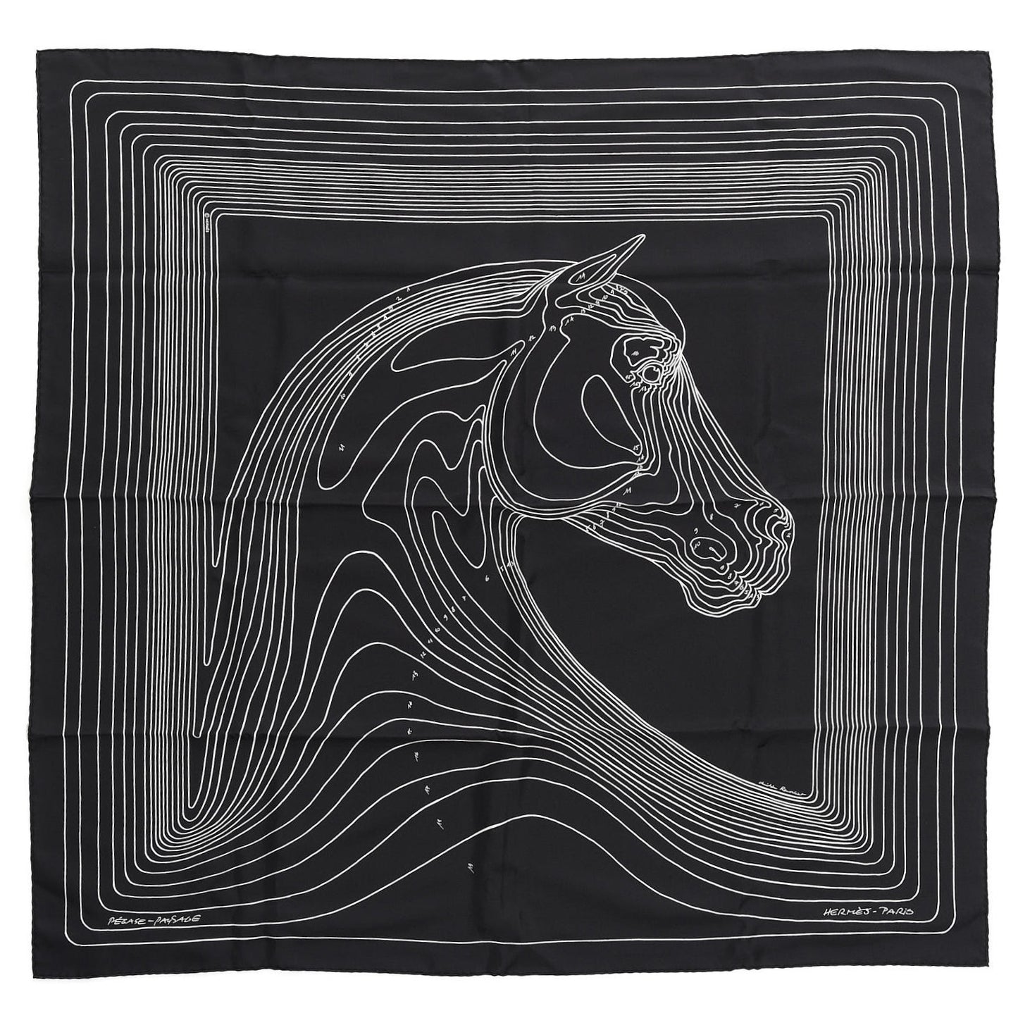 Silk Pegase Paysage Scarf 90 Black Beige