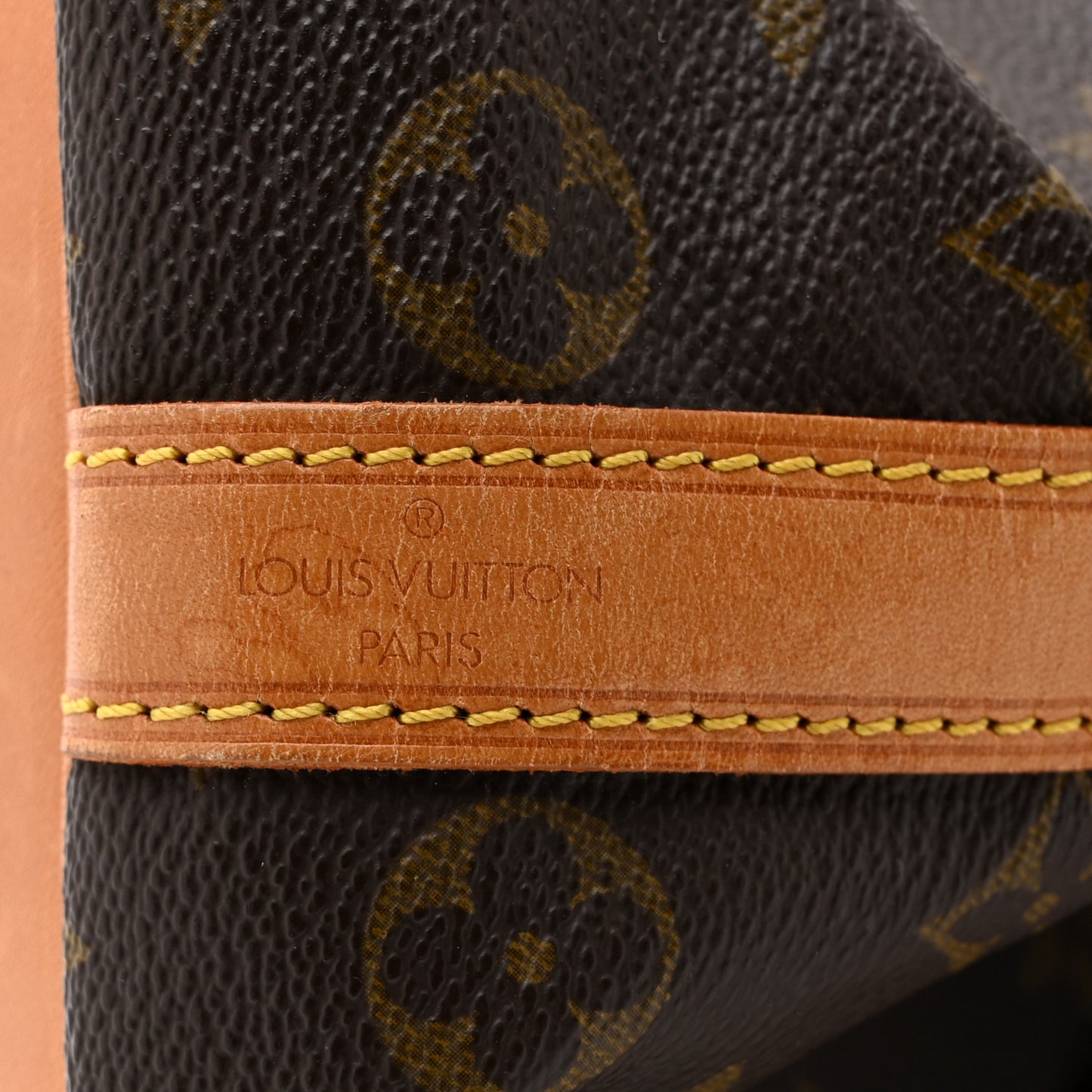 Monogram Petit Noe