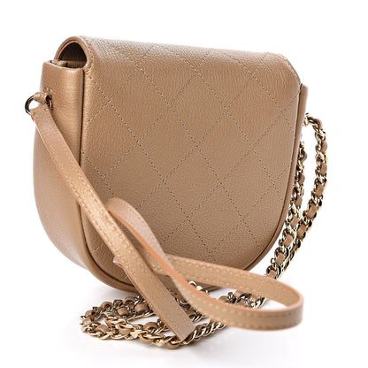 Chanel Goatskin Stitched Casual Trip Messenger Flap Beige 3 of 11