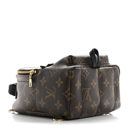 Louis Vuitton Monogram Palm Springs Backpack Mini 4 of 14