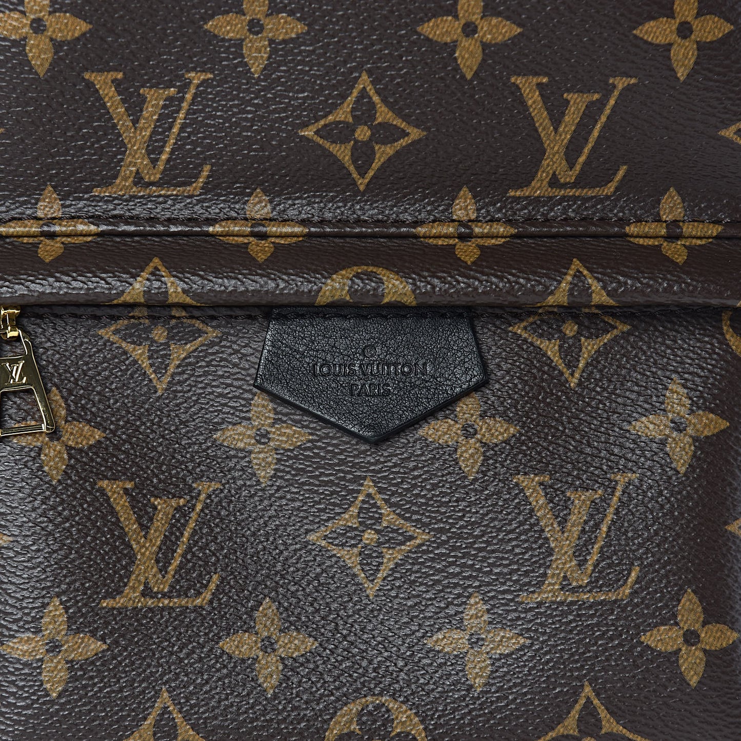 Monogram Palm Springs Backpack PM