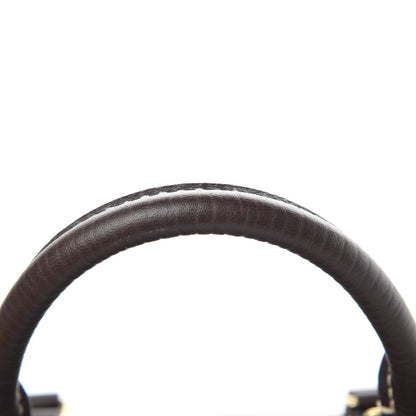 Louis Vuitton Mini Lin Speedy 30 Ebene 14 of 15