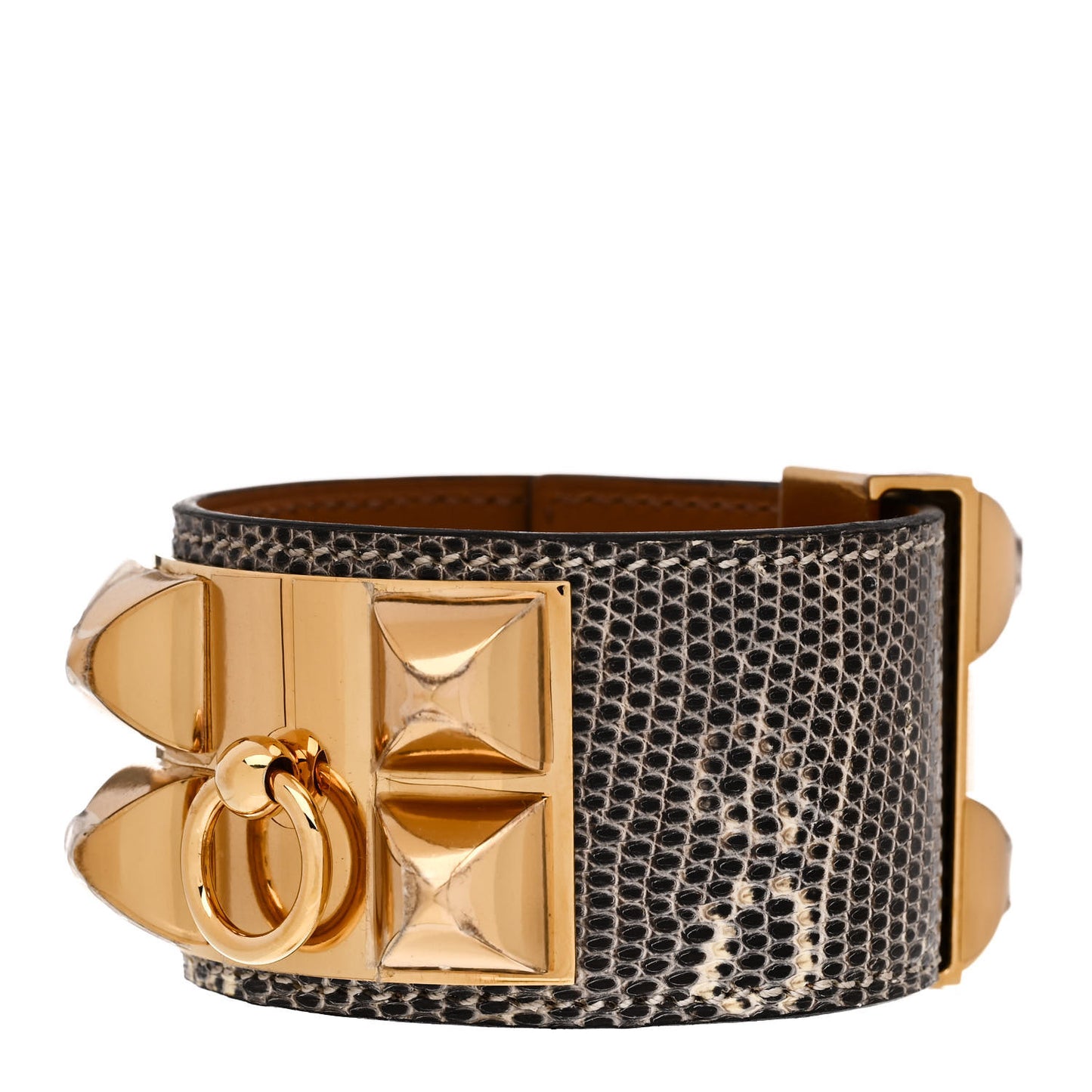 Lizard Collier De Chien CDC Bracelet T2 Ombre