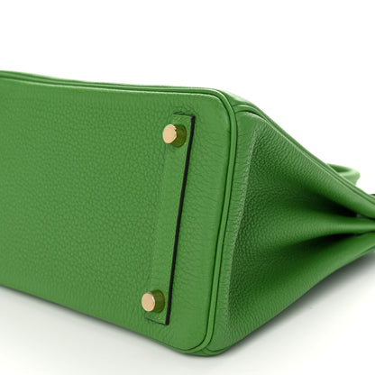 Hermes Togo Birkin 25 Vert Yucca 9 of 12
