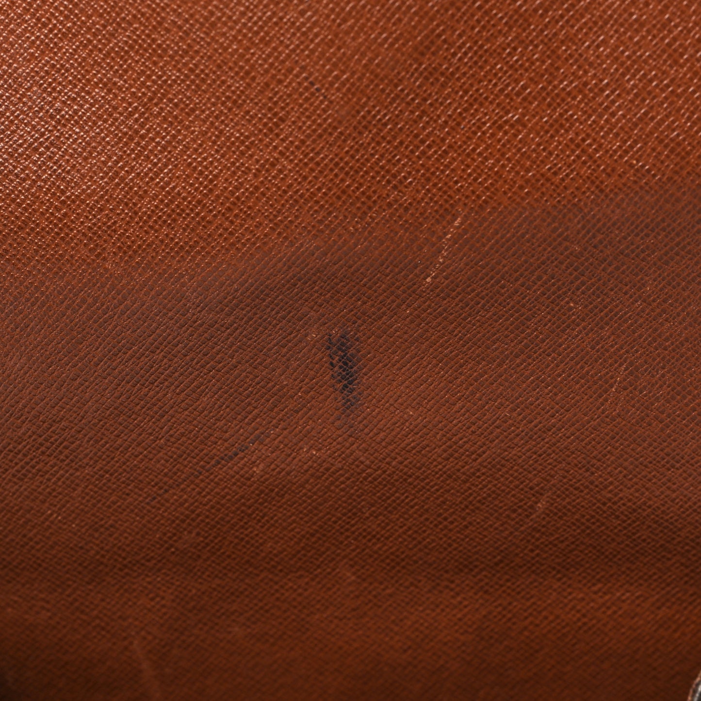 Monogram Cartouchiere 22