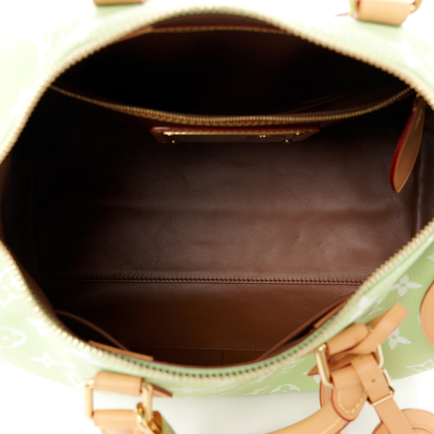 Calfskin Monogram Speedy P9 Bandouliere 30 Frozen Lime