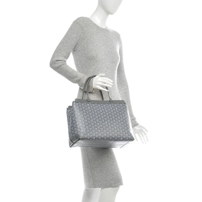 Goyard Goyardine Bellechasse PM Grey 2 of 6