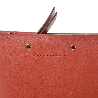 Chloe Calfskin Mini Roy Chain Pouch Earthy Red 7 of 7