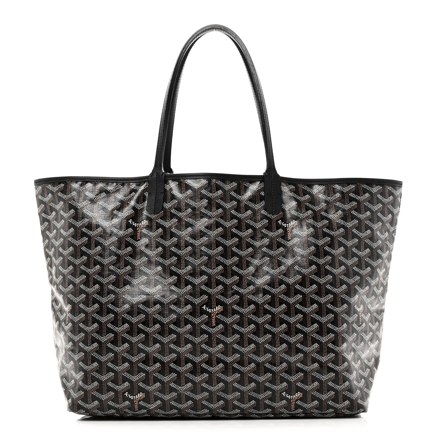 Goyard Goyardine Saint Louis PM Black 1 of 11
