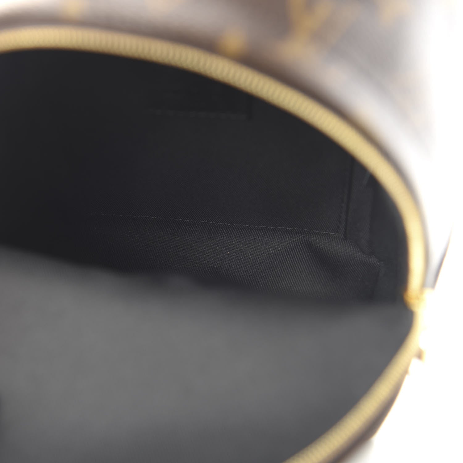 Louis Vuitton Monogram Palm Springs Backpack Mini 4 of 9